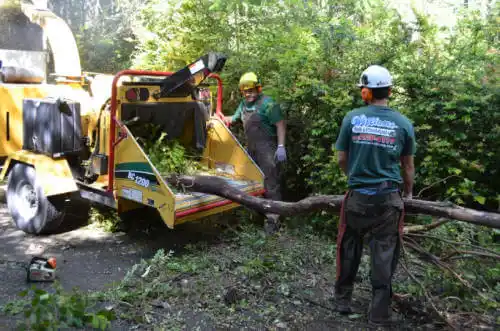 tree services Opelika